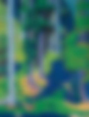 Waldinneres (Forest Interior) (preview)
