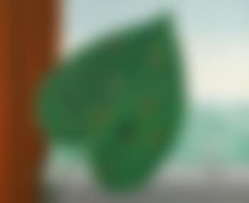 Le Regard Intérieur (preview)