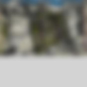 Nouvelle impression (preview)