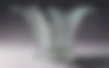 Cactus Table, No. 10302 (preview)