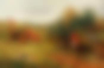 The Orange Hunt (preview)