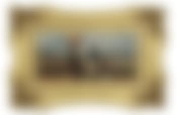 The cotton field (preview)