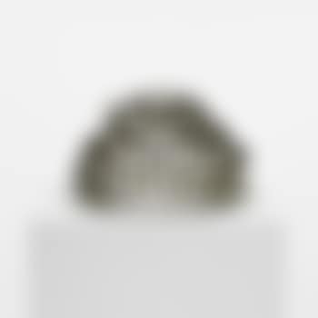 Untitled [early bush form] (preview)