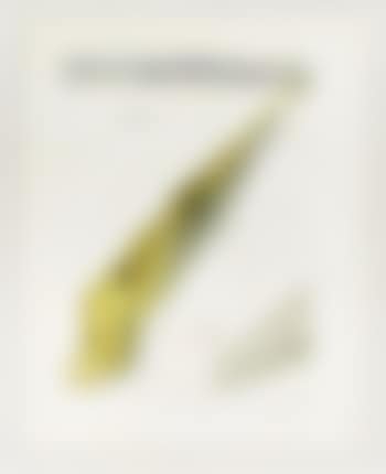 a) Inferno 14 - The Blasphemers, b) Paradiso 30 - The infinite Beauty of Beatrice (preview)