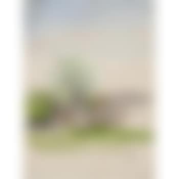Garten mit baum (preview)