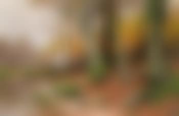 Autumn landscape (preview)