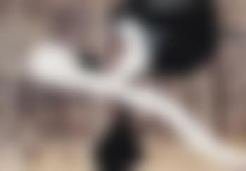 Ohne Titel (8.2.92) (preview)