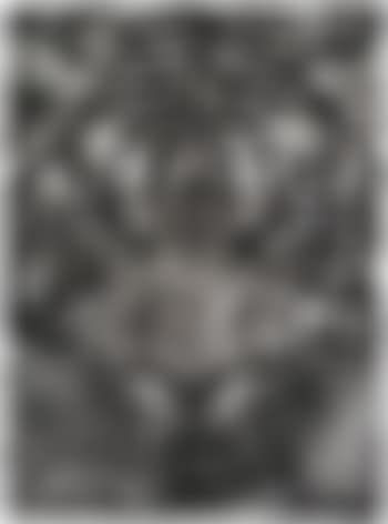 Study of Tiger Head 4B (preview)