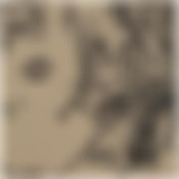 Squarilyn (preview)