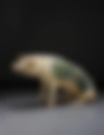 Untitled (Koi) (preview)