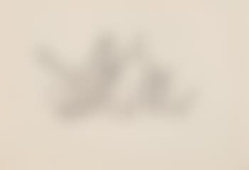 Composition (preview)