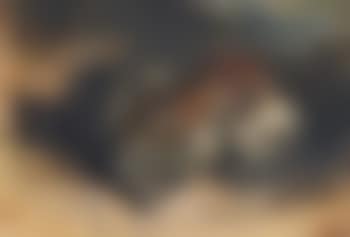 Tigre Attaquant Un Cheval (preview)