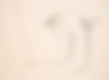 Untitled 37 (preview)