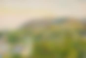 Der Kahlenberg (Kahlenberg) (preview)