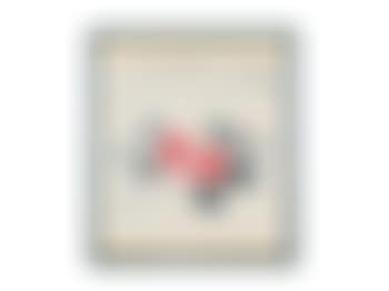 Camellia (preview)