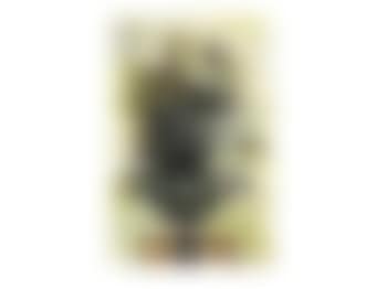 Tulipes (preview)