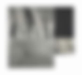 Landscape with Face (preview)