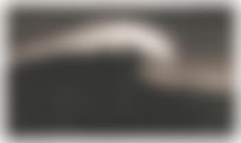 Study Of White Top (preview)