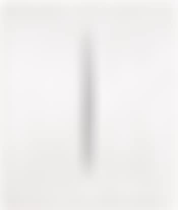 Concetto Spaziale, Attesa (preview)