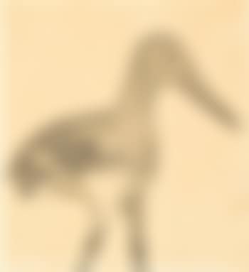 Untitled (Study Of A Bird) (preview)