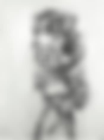 Head Of Julia (preview)