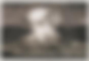 Study For Firestorm (preview)