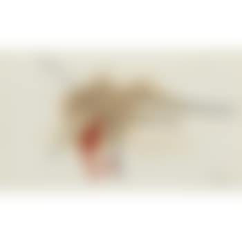 Untitled (from the Joyce Sketchbook) (preview)