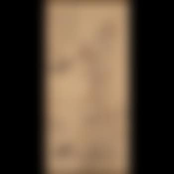 Sparrows (preview)