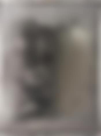 Untitled (preview)