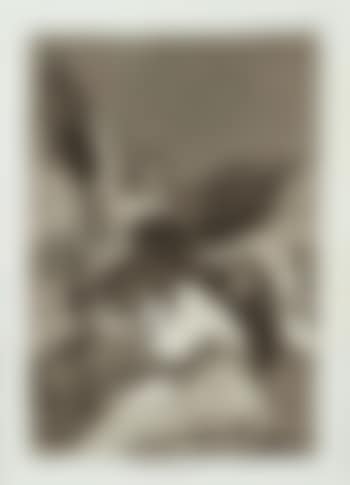 Soplones (preview)
