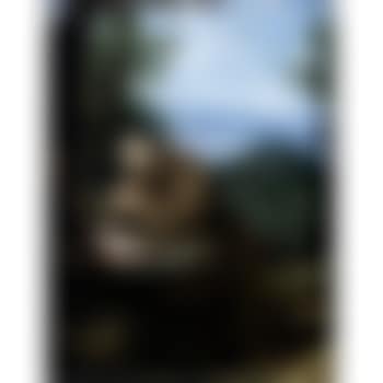 Saint Francis in meditation (preview)