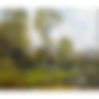 Old Boundaries, Lyme (preview)