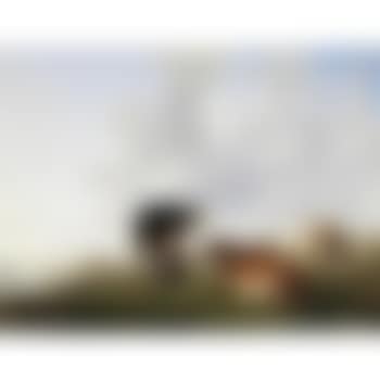 The milkmaid (preview)