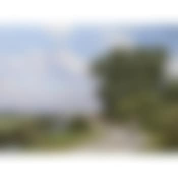 A country road (preview)