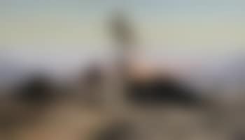 Tramonto sull'oasi (preview)