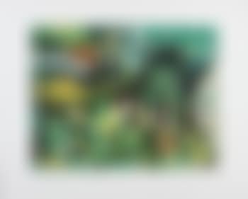 Fichi d'India (preview)