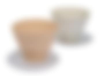 Planters (2) (preview)