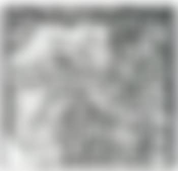 Swan Engraving VII (from Swan Engravings) (preview)
