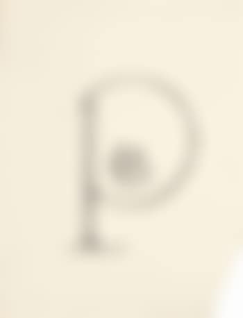 Initiale P (preview)