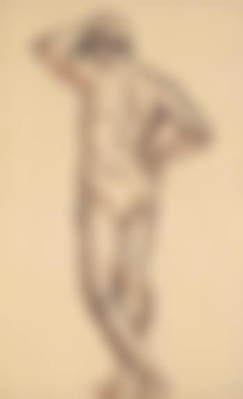 Homme nu de dos (preview)