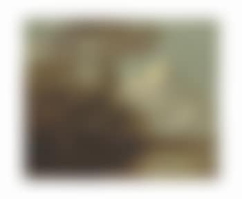 A river landscape (preview)