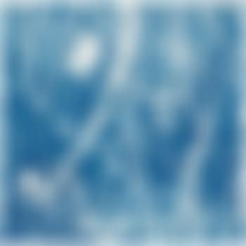 Untitled (Square) (preview)