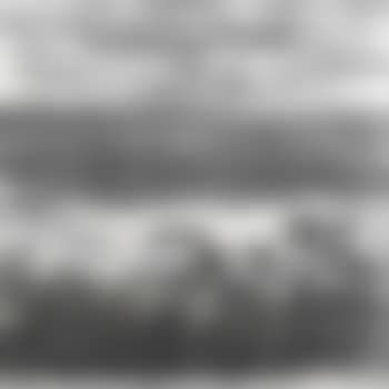 Geese in flight (preview)