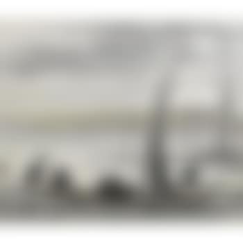 Cormorant fishing (preview)