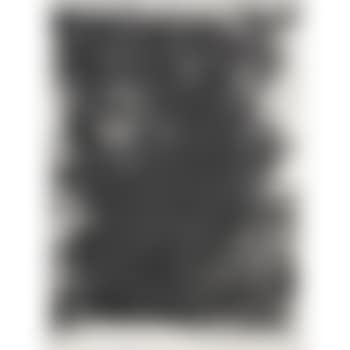The Bird (Corlett 11) (preview)