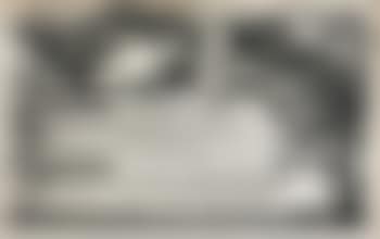 Bird with worm (preview)