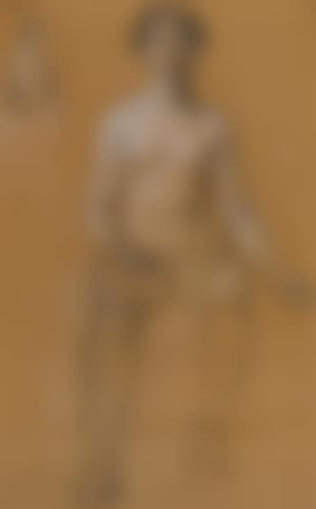 Woman's head with crown of flowers (preview)