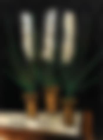 Jacinthes en pots (preview)