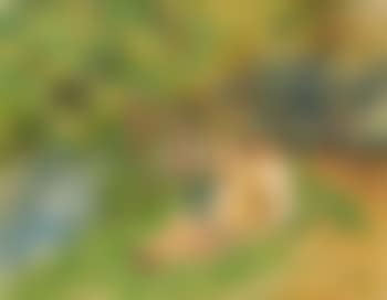 Baigneuse (preview)