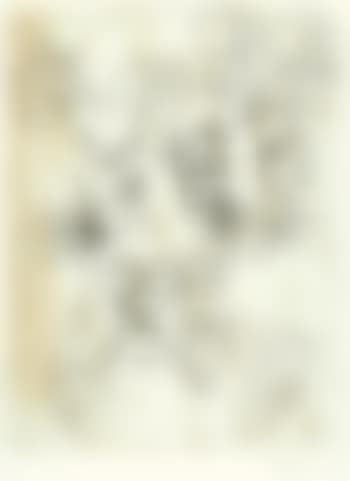 Schlafende Hunde I, from "Schlafende Hunde" (preview)